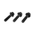 Diesel Performance - Black-Phosphate Starter Bolt Kit 2007.5-2022 Dodge Ram 6.7L Diesel  Xtreme Diesel Performance