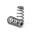 XDP Xtreme Diesel Performance - Performance Valve Springs and Retainer Kit - Image 2